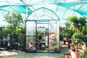 Connect-it-Greenhouse